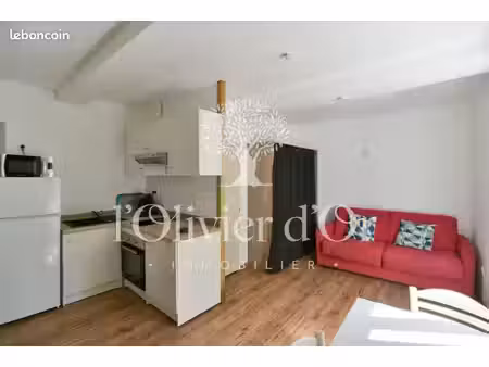 studio 1 pièce 24 m²