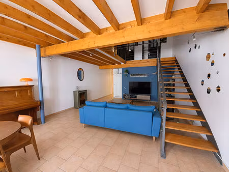 appartement saint chamond 6 pièce(s) 162 m2
