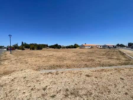 en vente terrain constructible 8 03 ares – 45 950 € |sainte-radégonde-des-noyers