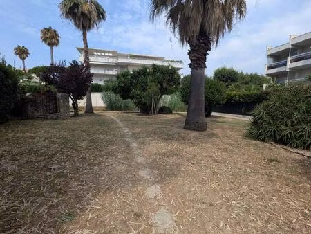 studio 1 pièce 20 m²