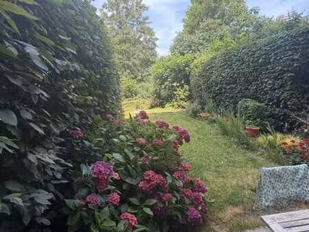appartement 1 chambre + terrasse + jardin + cave