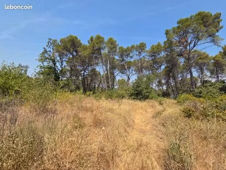 errain 4 029 m² – permis accordé – viabilisé – vue dominante – draguignan