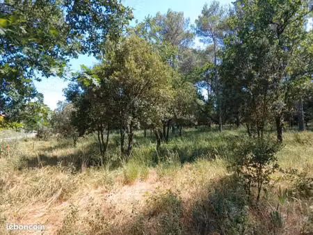 terrain 650 m² gareoult