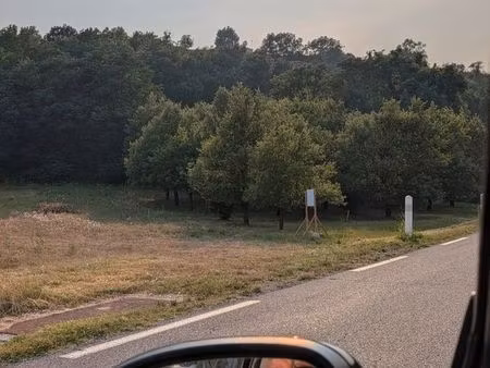 terrain a ce source et chêne truffier