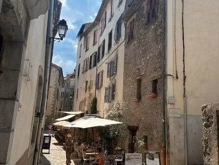 appartement de caractère 5p - village médiéval entrevaux - 120 000