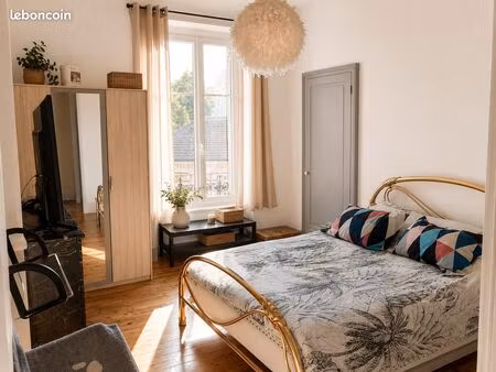 grand appartement de charme - t2 de 63m2 - vichy marché couvert