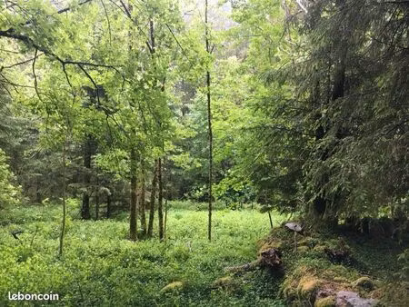 terrain non constructible 4000m2
