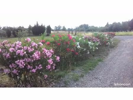terrain constructible 2600 m² zone ui – gros œuvre avancé – saint-sernin 07200