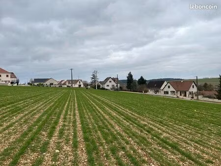 terrain à bâtir 5010 m2