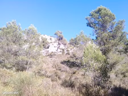 terrain de loisir