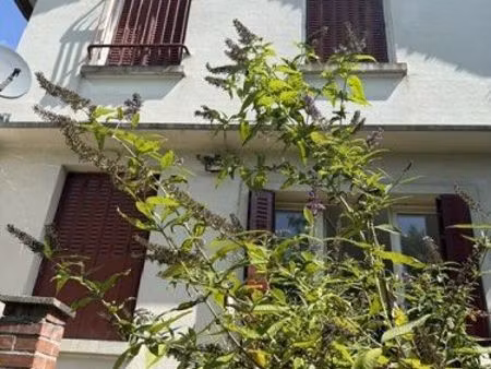 propriété 5 pièces 110 m²