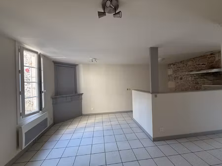 appartement lumineux 2 chambres - centre ville rive gauche