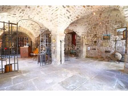 maison d hote de 255 m² à ceilhes-et-rocozels