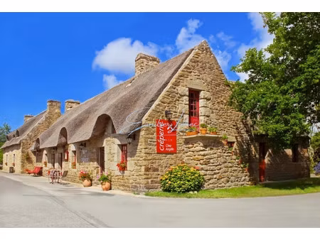 propriété à vendre riec sur belon 11 pièce(s) 280m2 527 000€