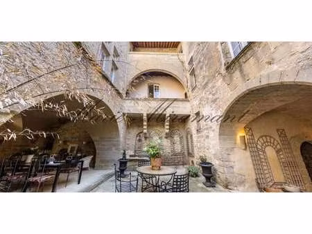 hôtel particulier avec jardin uzès (30)
