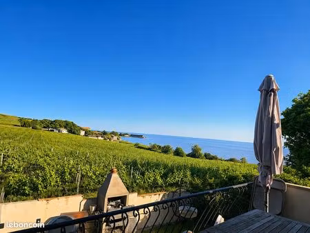 a vendre barzan plage  vue imprenable sur l’estuaire