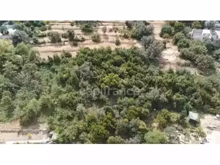 terrain à vendre falicon 3160m2 690 000€
