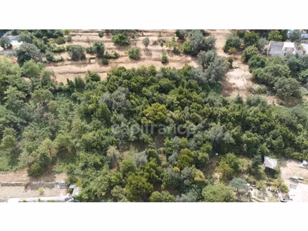 terrain à vendre falicon 3160m2 750 000€