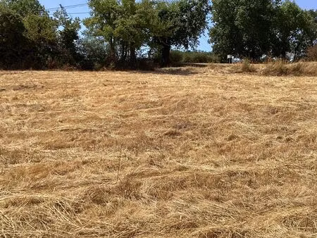 terrain à bâtir