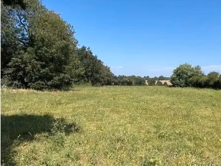 terrain viabilisé libre de constructeur 1245m²