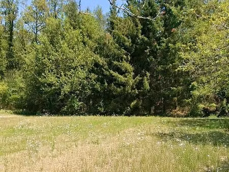 terrain 1 700 m² paulin