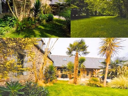 authentique propriété de caractère en pierre : maison & gîtes environ 250 m2 au sol