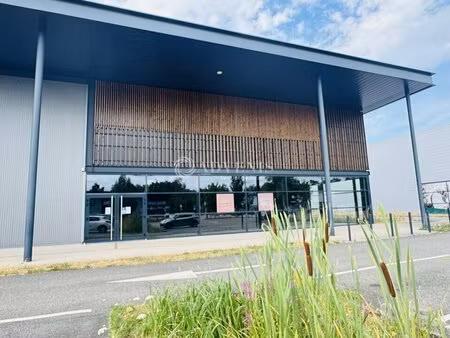 location commerce haguenau 67500 1050m²