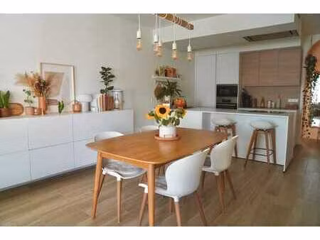 appart. spacieux et lumineux avec parking et belle terrasse