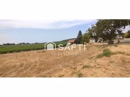 terrain à batir avec vue sur les vignes !