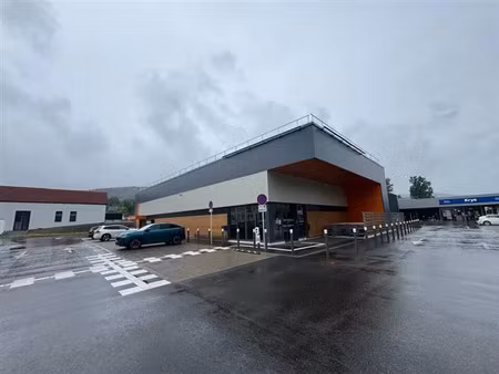 vente commerce masevaux-niederbruck 1 410 m²