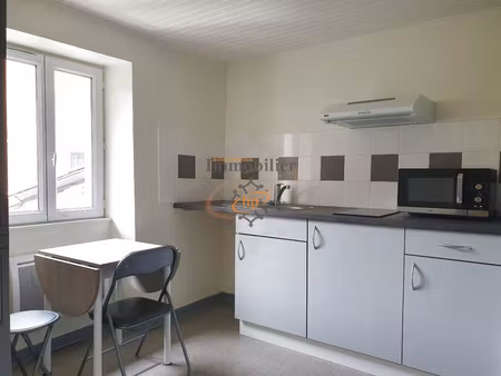 location appartement t1 bis meublé saint affrique