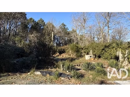 vente terrain 1 000 m²