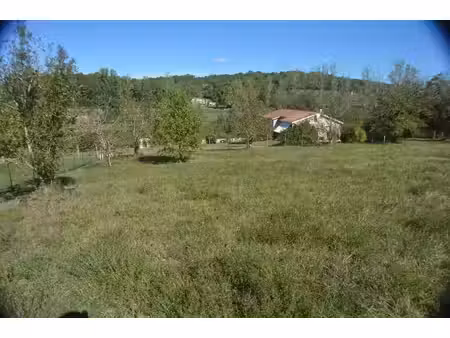 terrain