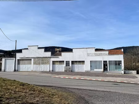 ténement immobilier entrepots  bureaux  et appartement saint priest la prugne