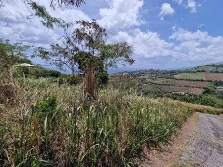 achat terrain 1 595m² le carbet 97221
