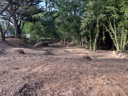 vente terrain
