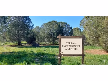 vente terrain