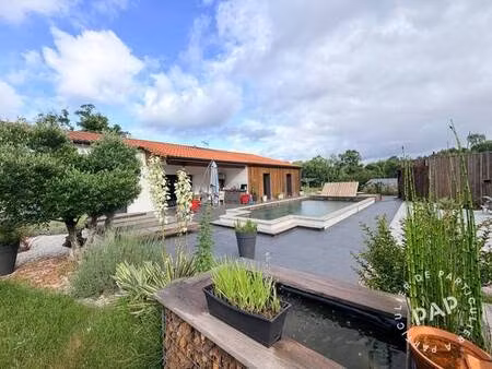 escource (40210)