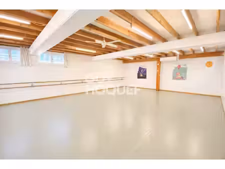 local d'activité / commercial - 300 m² - emplacement stratégique à sélestat (axe passant)