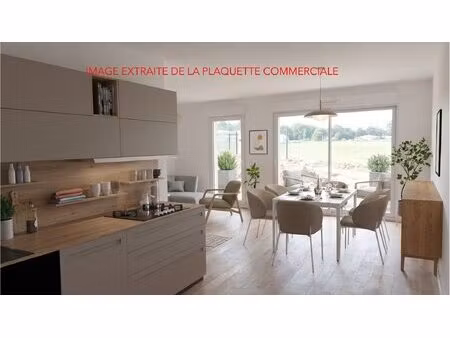 achat : maison (40100)
