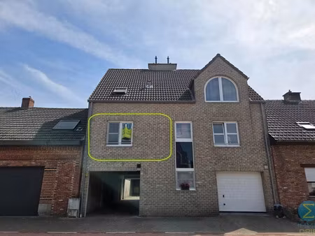 appartement te huur in dessel met 1 slaapkamer