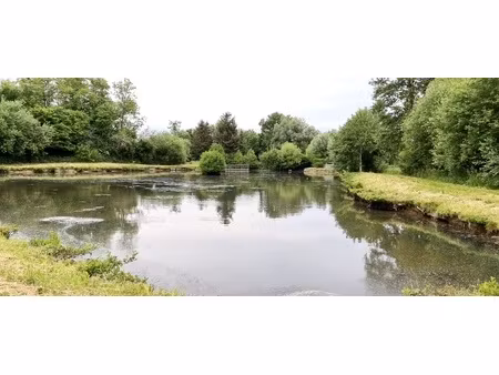 terrain - 12594 m²