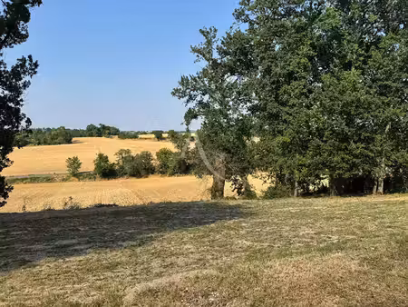 terrain l isle jourdain 1003 m2
