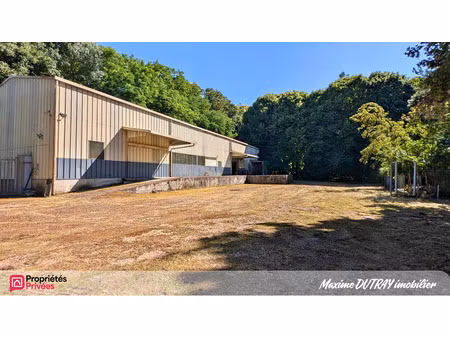 vente immeuble 415 m² château-renault (37110)