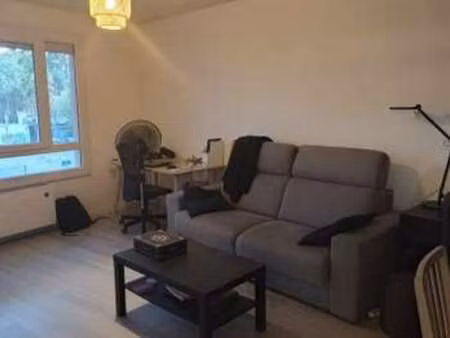 location appartement 2 pièces meublé à villeurbanne (69100) : à louer 2 pièces meublé / 52