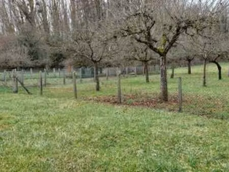 vente terrain à ymeray (28320) : à vendre / 3250m² ymeray