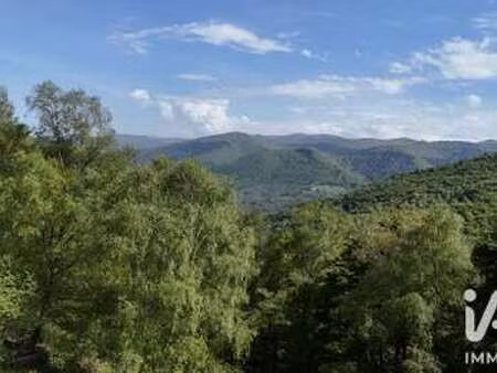 vente immeuble au bosc (09000) : à vendre / 700m² le bosc