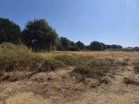 vente terrain à latour-bas-elne (66200) : à vendre / 222m² latour-bas-elne