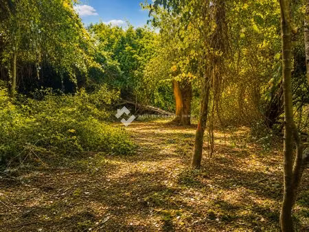 pruno un terrain au coeur d'une nature préservée