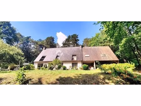 maison au calme absolu sans vis-à-vis sur vaste terrain boisé